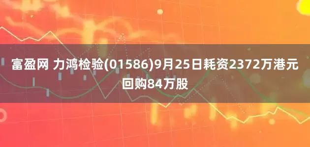 富盈网 力鸿检验(01586)9月25日耗资2372万港元回购84万股